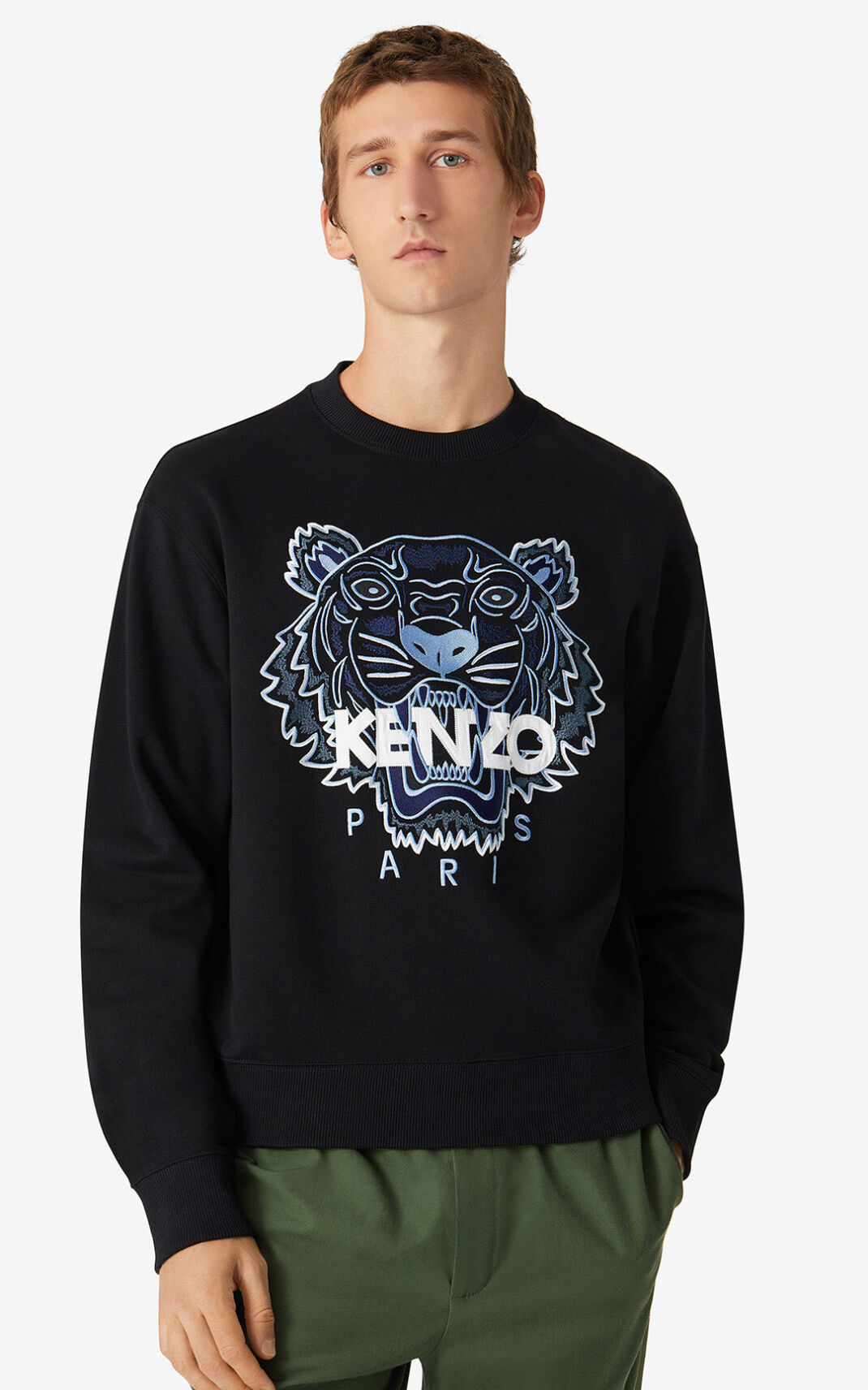 Kenzo Tiger Sweatshirt Erkek Siyah | 4620-SZMDF
